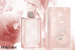 Load image into Gallery viewer, Burberry Brit Sheer - ScentsForever
