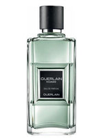 Load image into Gallery viewer, Guerlain Homme - ScentsForever
