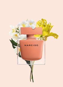 Narciso Rodriguez Ambree - ScentsForever